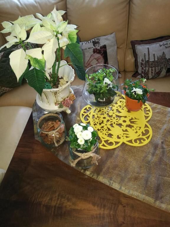 Проживание в семье Domek Górski Strumień Строне-Слёнске-61